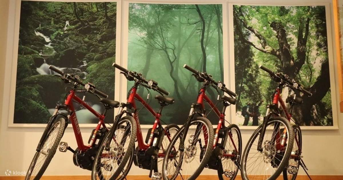 E shop bike center